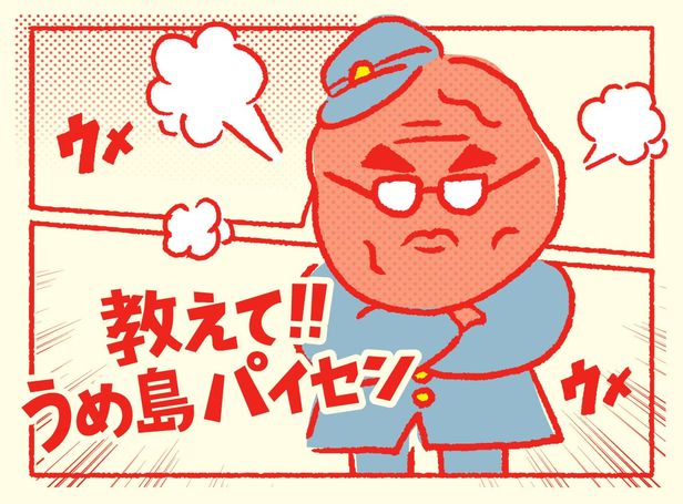 梅フェア