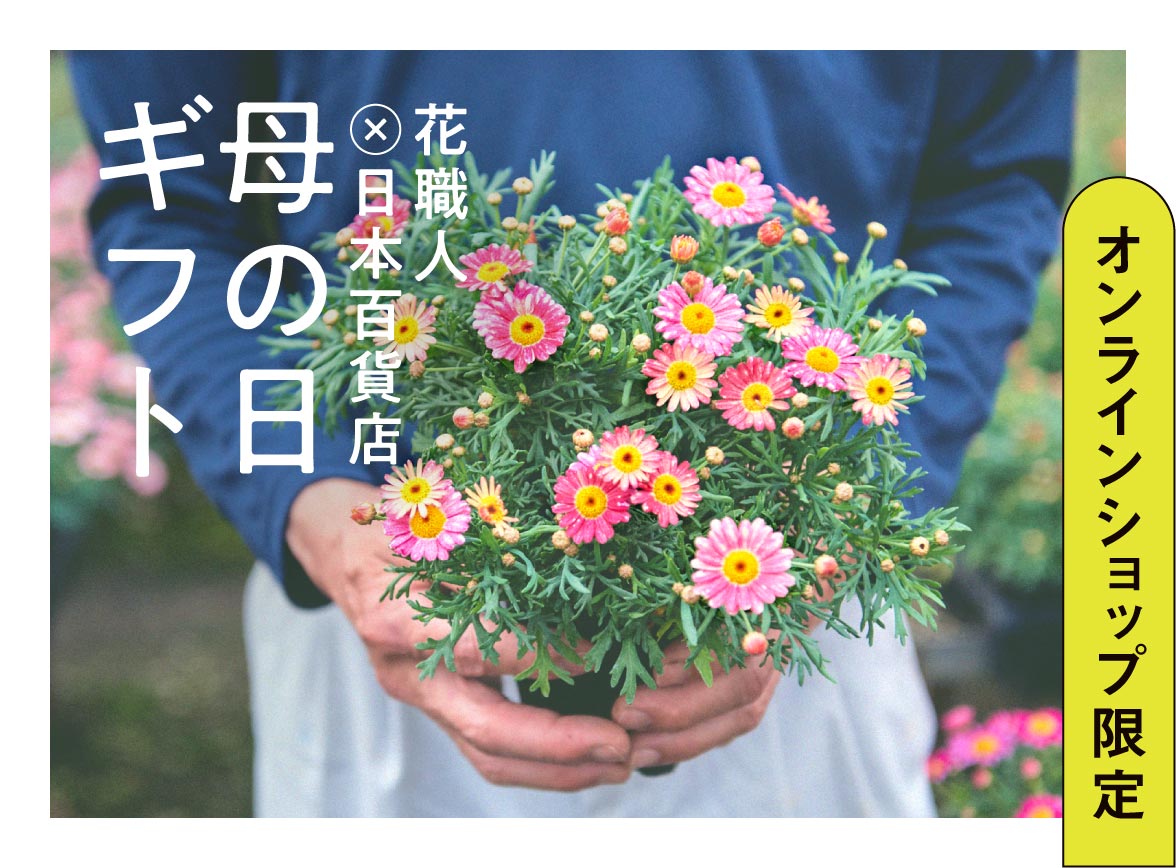 花職人×日本百貨店の母の日ギフト