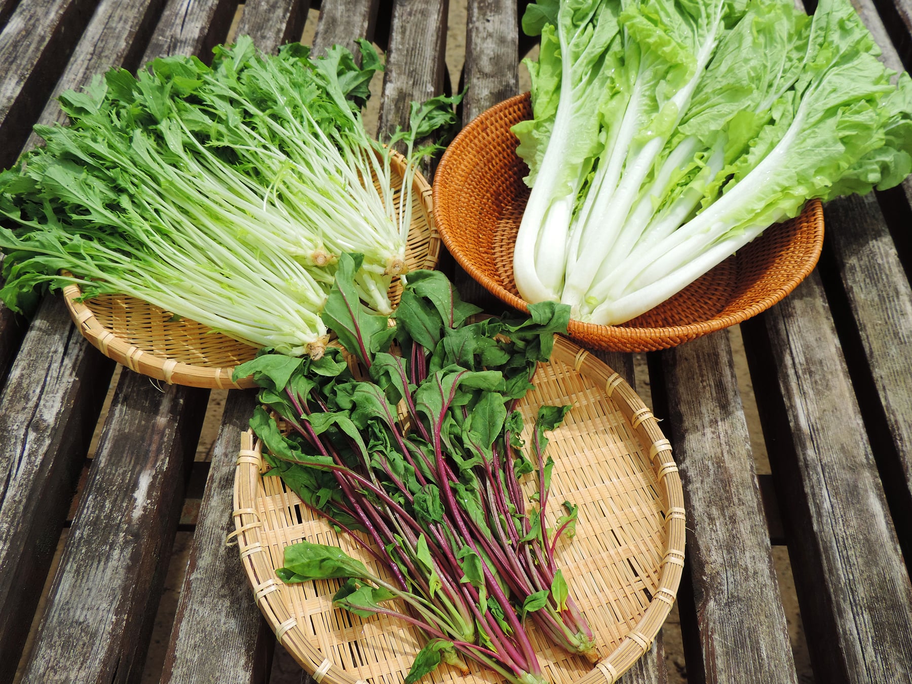 日本百貨店まちだ らふまる野菜販売